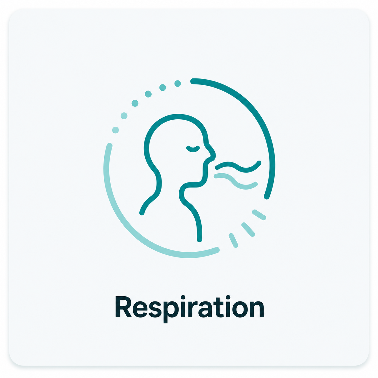 Respiration